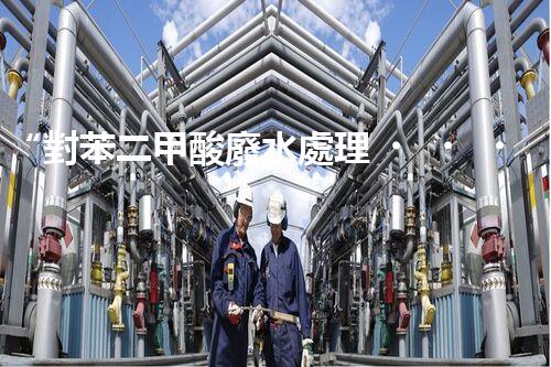 “對苯二甲酸廢水處理，綠色創(chuàng)新引領(lǐng)環(huán)保新篇章”